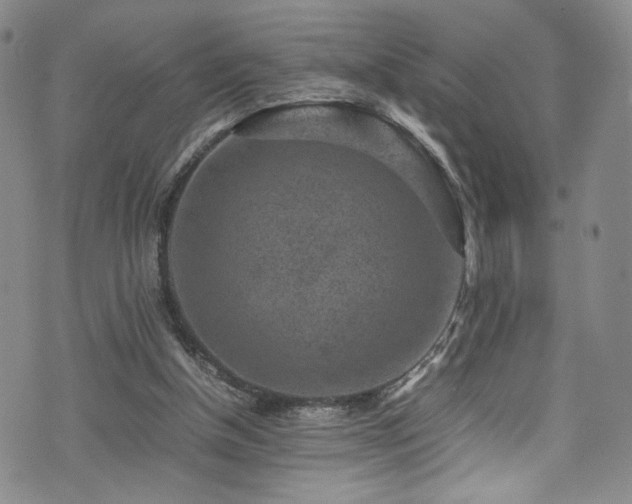 X0000072500154200607141138