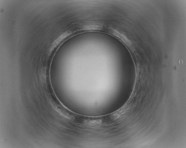 X0000072500155200607141138