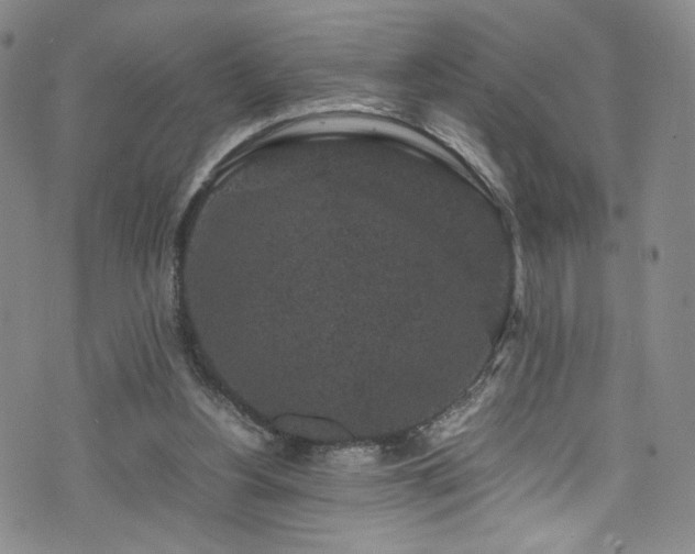 X0000072500156200607141138