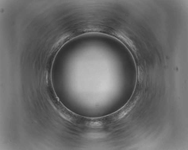 X0000072500157200607141138