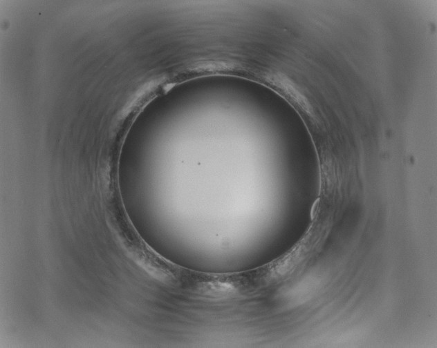 X0000072500159200607141138