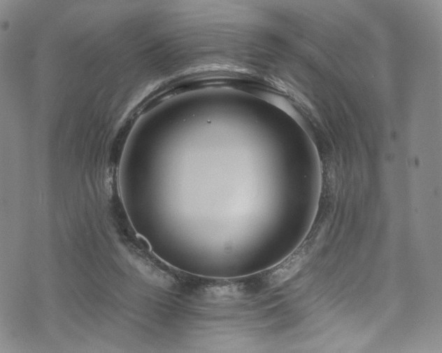 X0000072500160200607141138