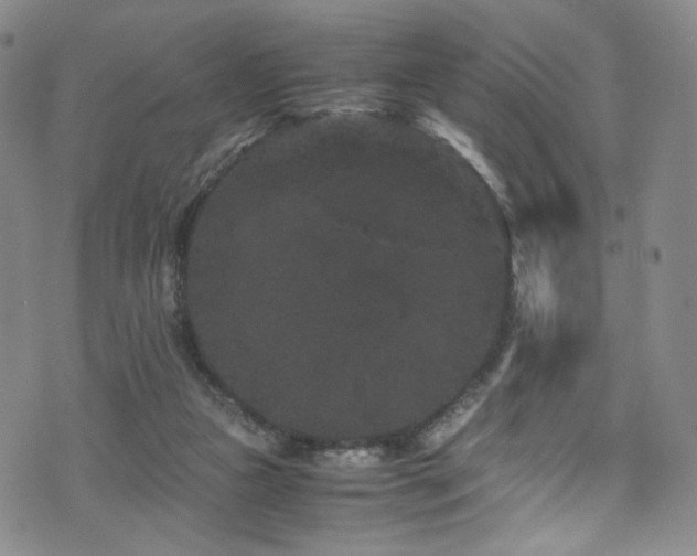 X0000072500161200607141138