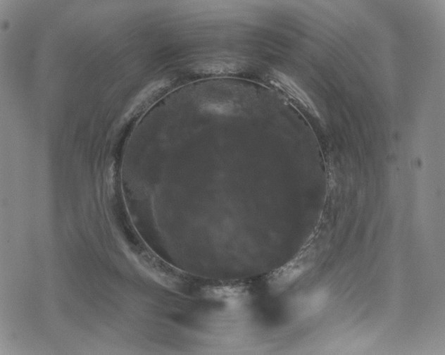 X0000072500163200607141138