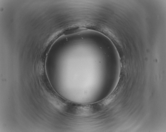 X0000072500164200607141138