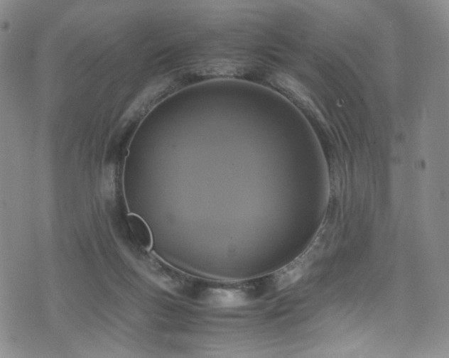 X0000072500167200607141138