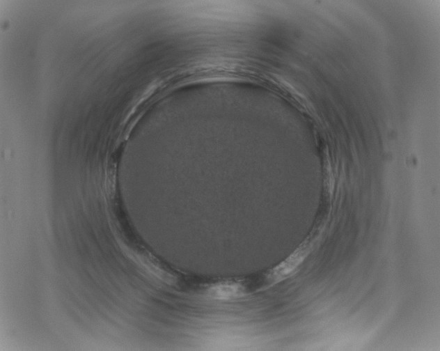 X0000072500168200607141138