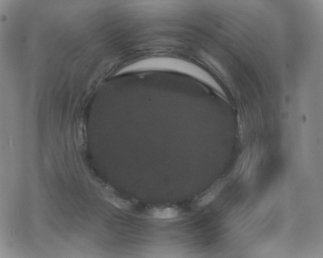 X0000072500169200607141138