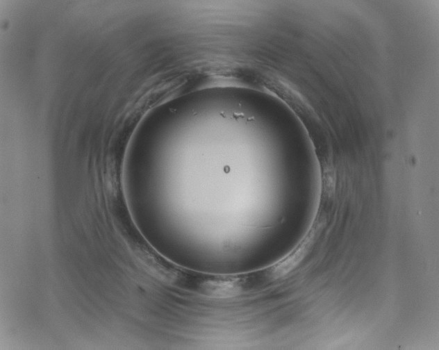 X0000072500170200607141138