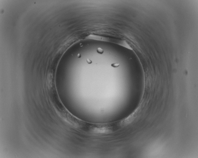 X0000072500171200607141138