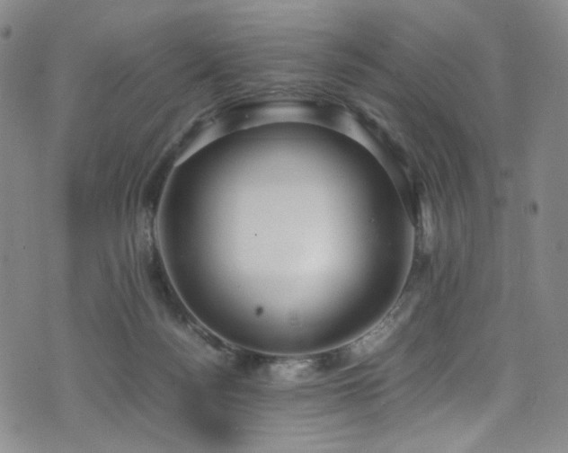 X0000072500172200607141138