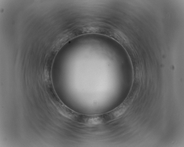 X0000072500173200607141138