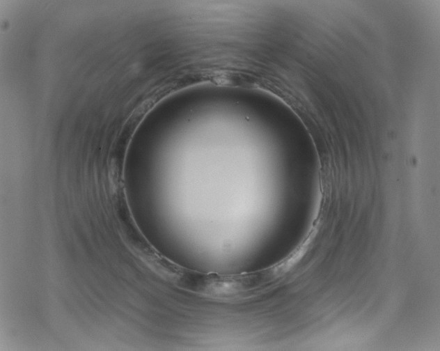 X0000072500174200607141138