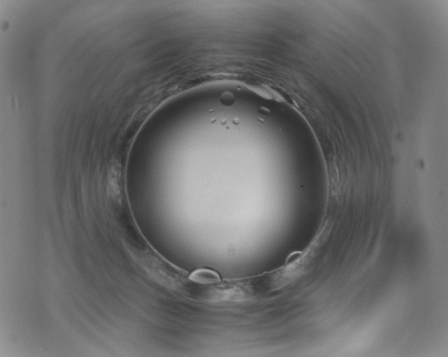 X0000072500175200607141138