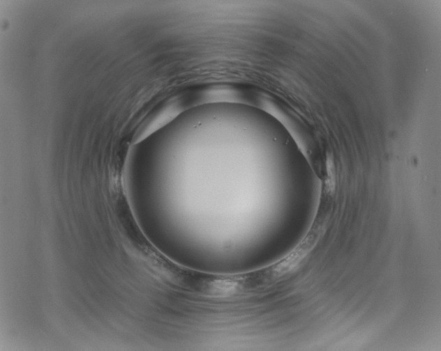 X0000072500176200607141138