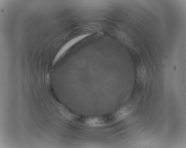 X0000072500177200607141138