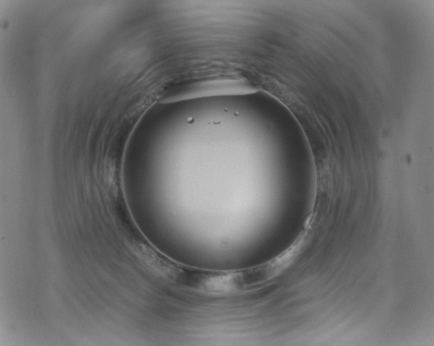 X0000072500178200607141138