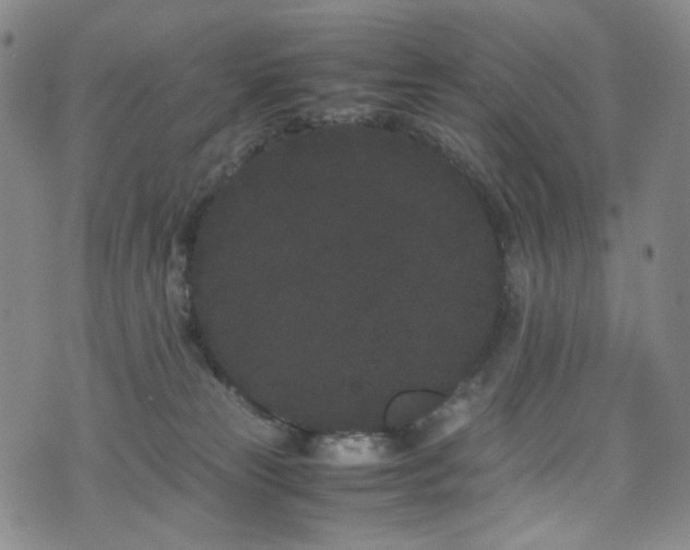 X0000072500181200607141138