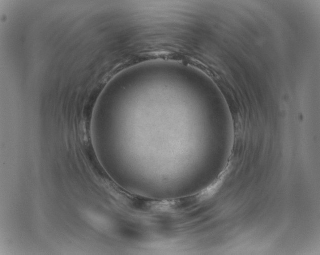 X0000072500182200607141138