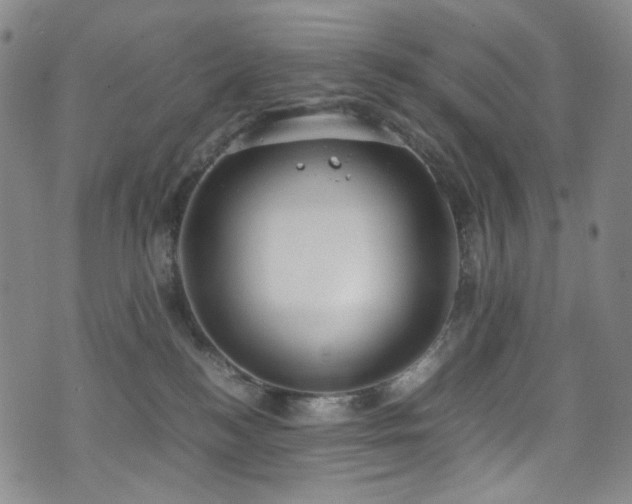 X0000072500184200607141139