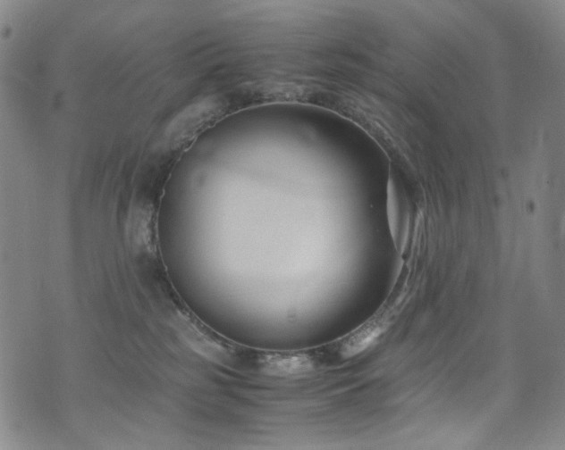 X0000072500185200607141139