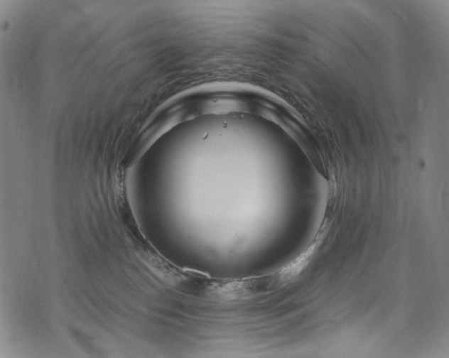 X0000072500186200607141139