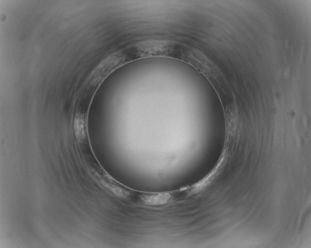 X0000072500191200607141139