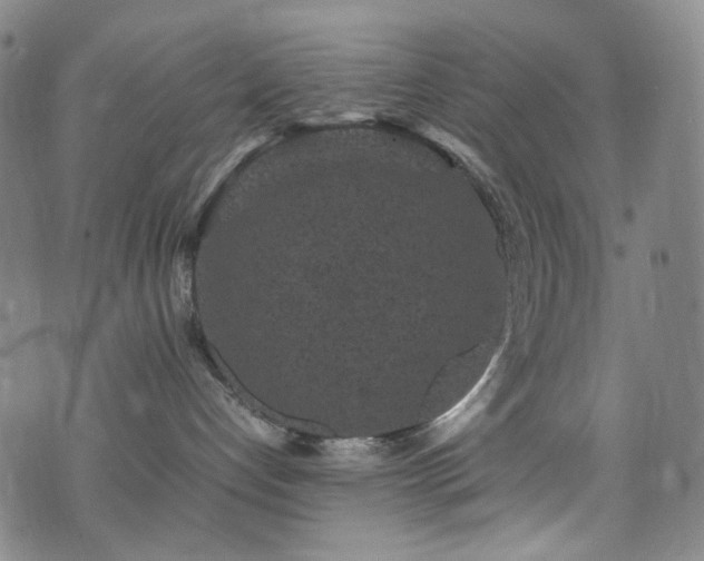 X0000072500192200607141139