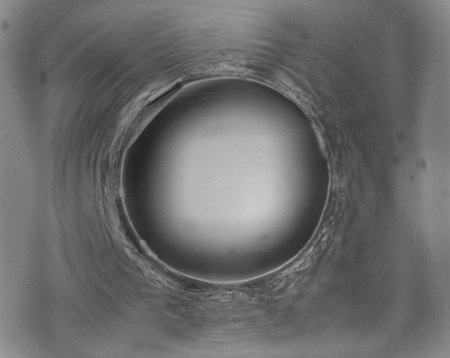 X0000072500193200607141138