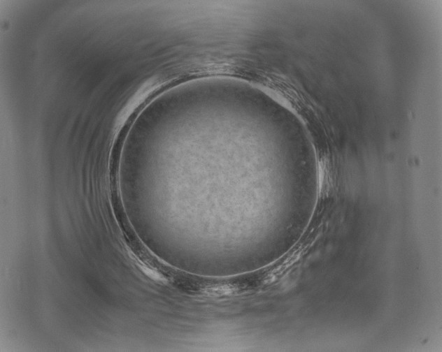 X0000072500195200607141138