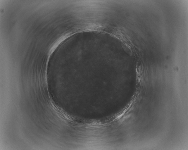 X0000072500196200607141138