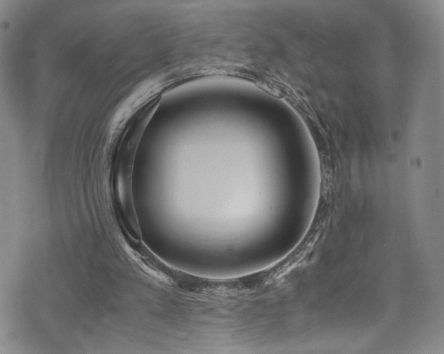 X0000072500197200607141138