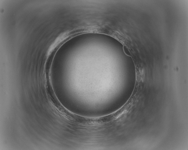 X0000072500198200607141138