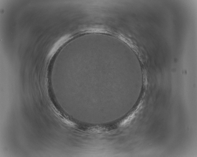 X0000072500199200607141138