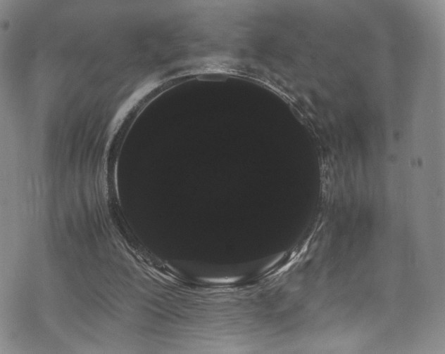 X0000072500200200607141138