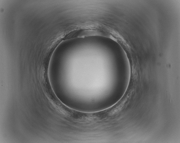 X0000072500201200607141138