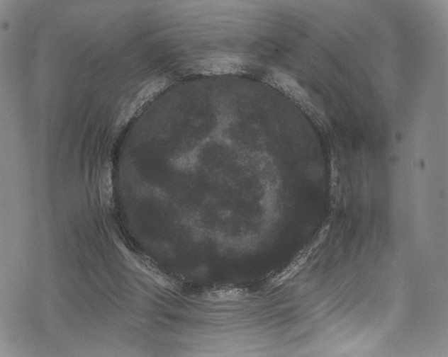 X0000072500202200607141138