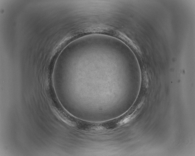 X0000072500203200607141138