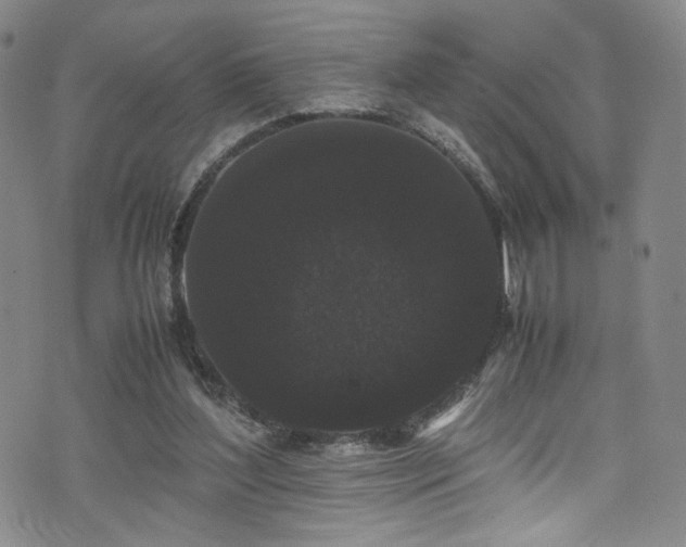 X0000072500204200607141138