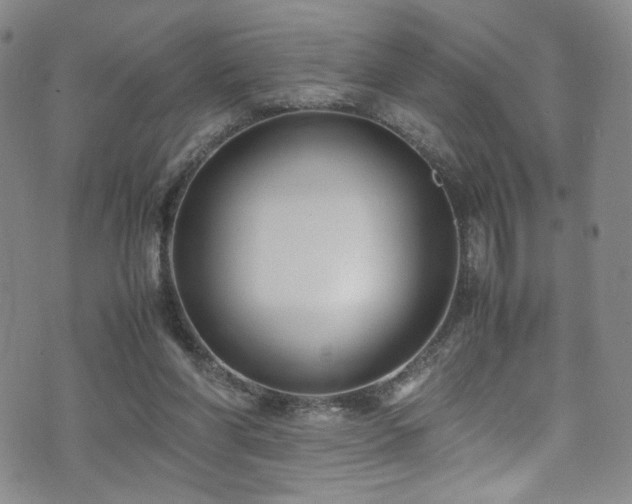 X0000072500206200607141138