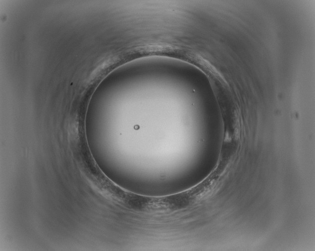 X0000072500207200607141138