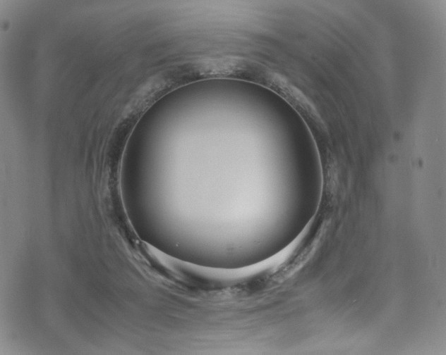 X0000072500209200607141138