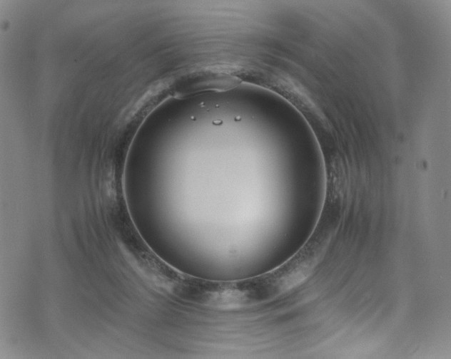 X0000072500212200607141138