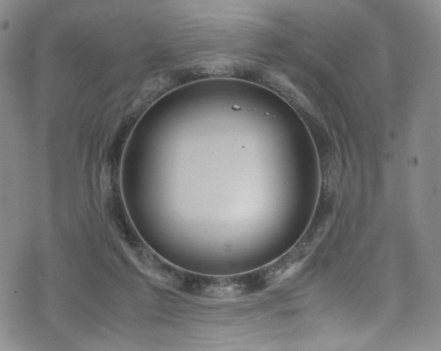 X0000072500213200607141138