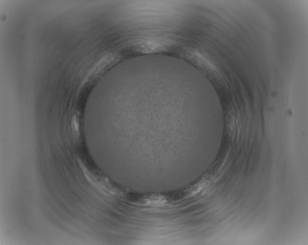 X0000072500214200607141138