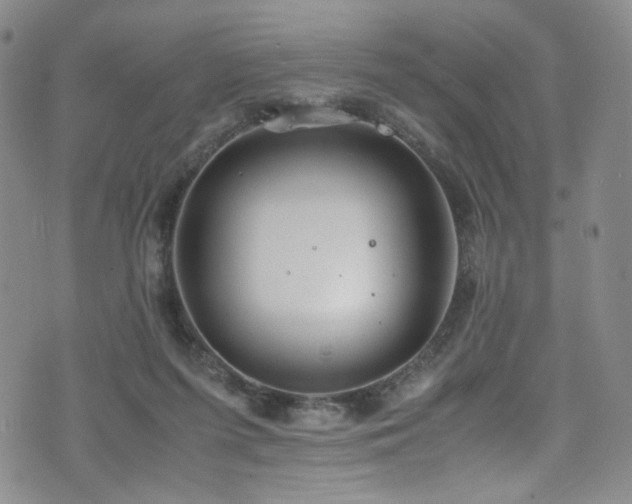 X0000072500215200607141138