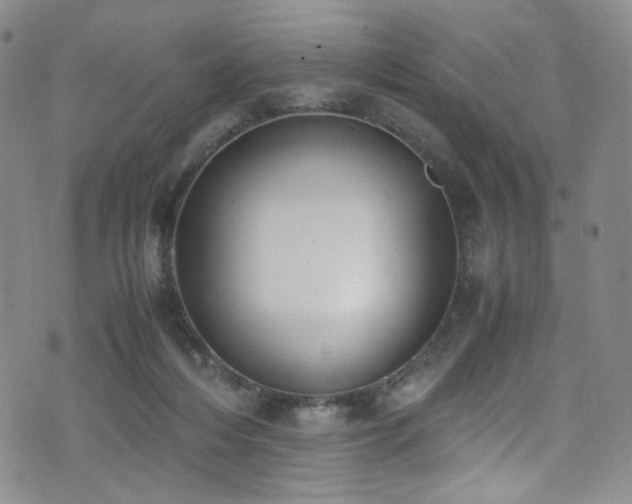 X0000072500216200607141138