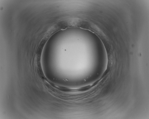 X0000072500217200607141137