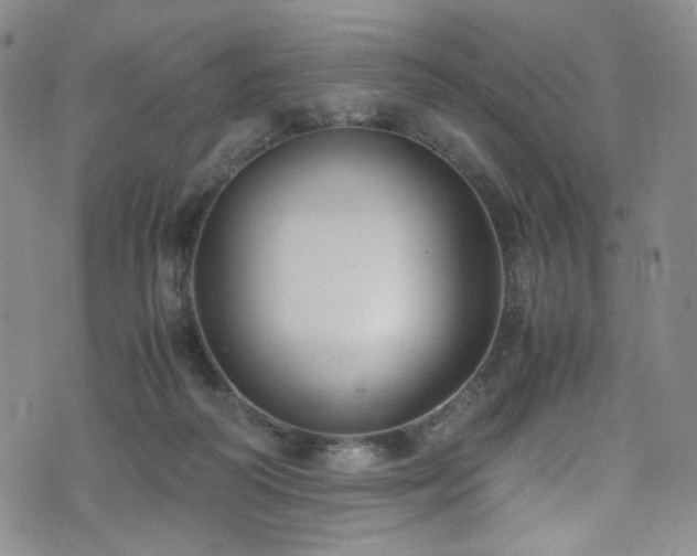 X0000072500218200607141137