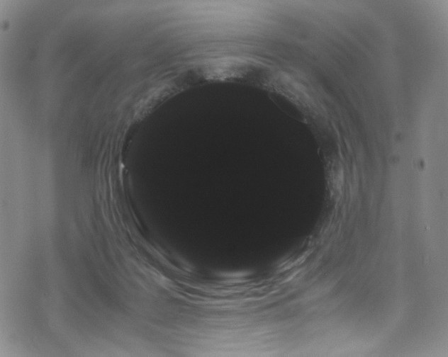 X0000072500219200607141137